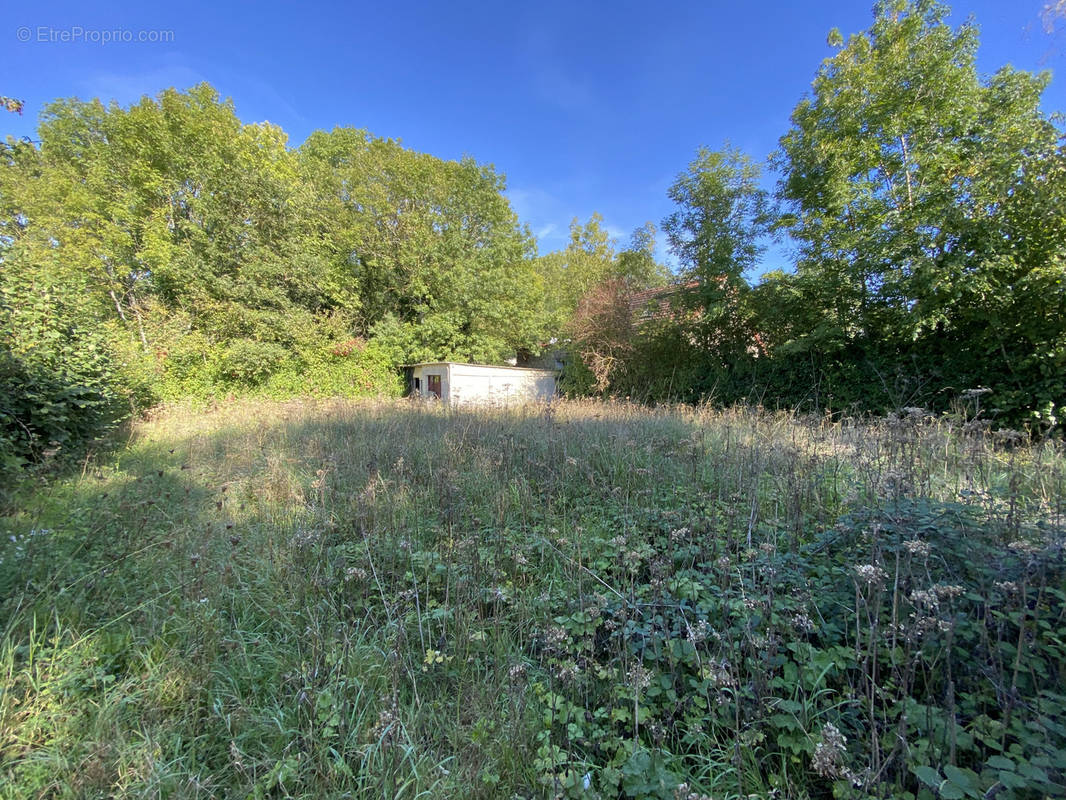 Terrain à JANVRY