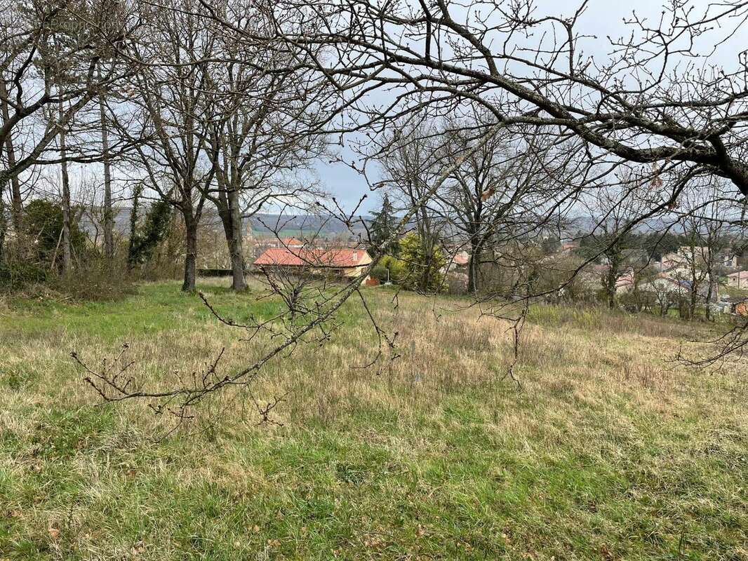 Photo 2 - Terrain à SAINT-PAUL-CAP-DE-JOUX