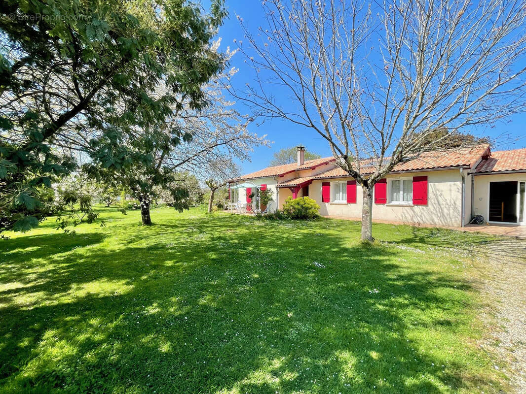 Maison à CASTETS-EN-DORTHE