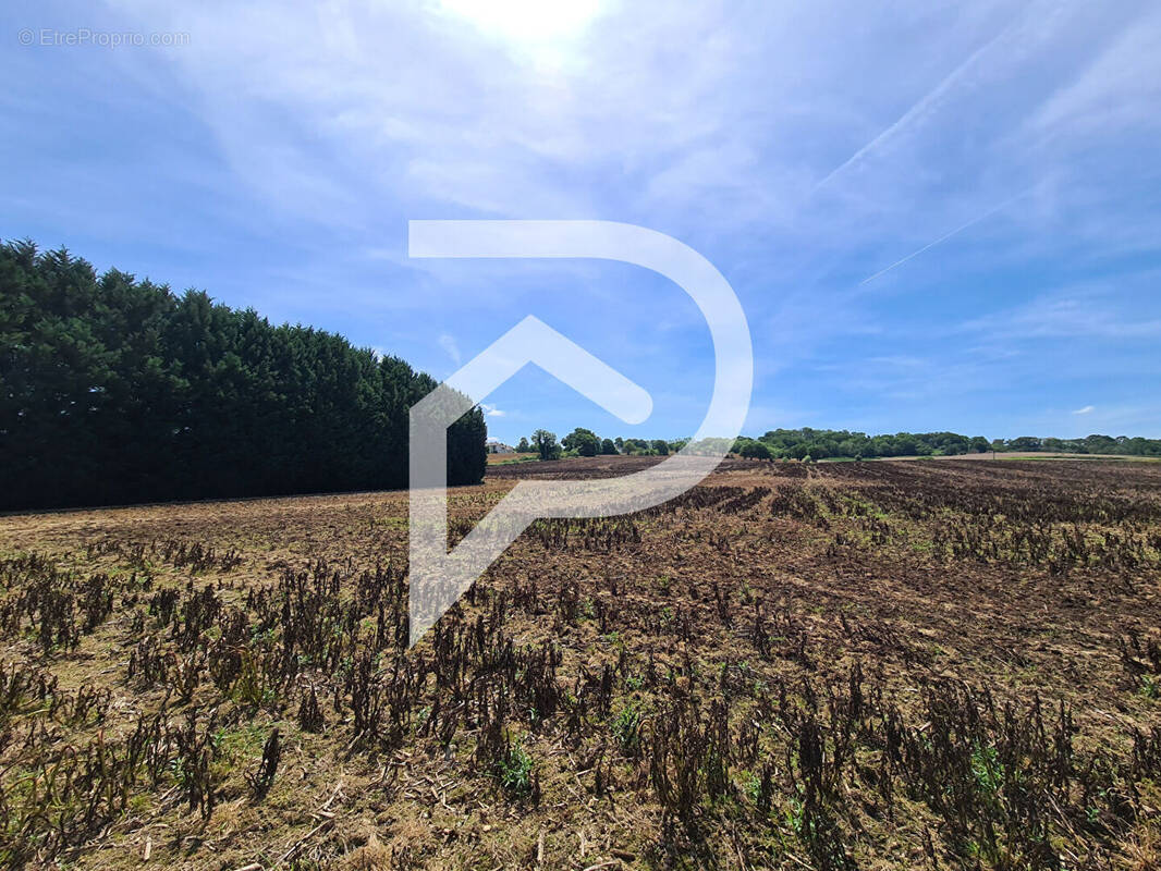Terrain à ORTHEZ