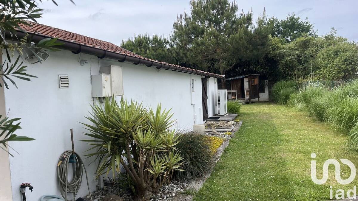Photo 1 - Maison à BENESSE-MAREMNE