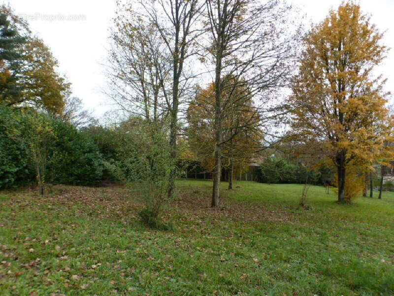 Photo 5 - Terrain à VILLENEUVE-SUR-BELLOT