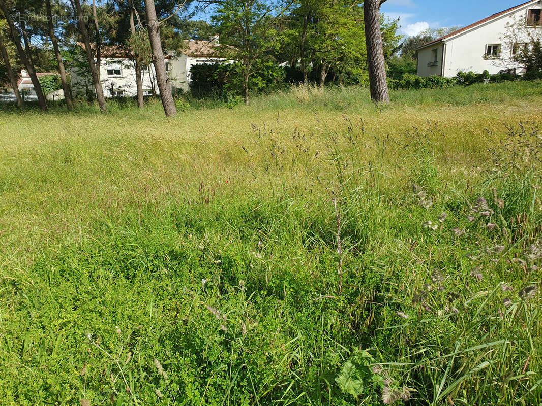 Terrain à JARD-SUR-MER