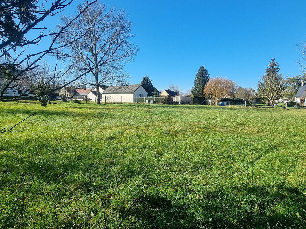 Terrain à SAVONNIERES