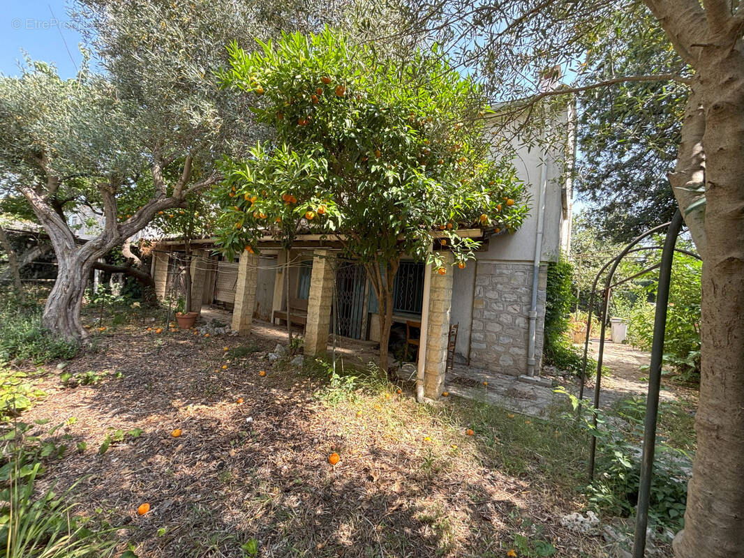 Maison à MONTPELLIER