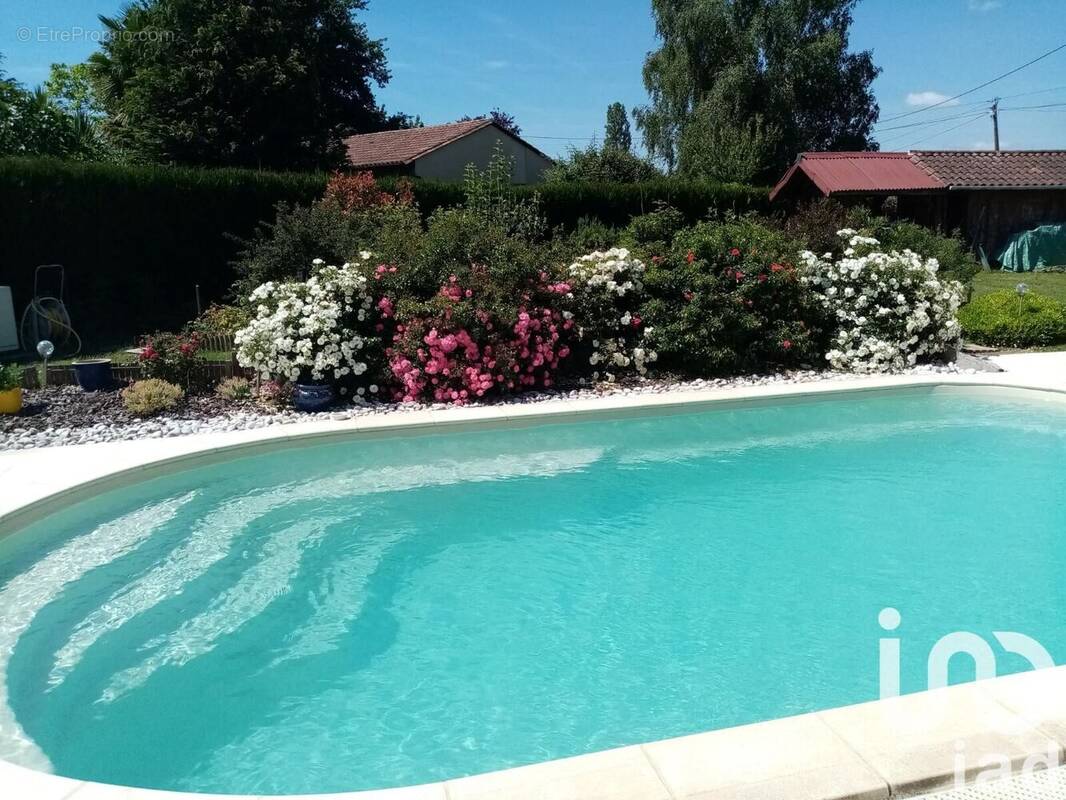 Photo 1 - Maison à MONTIGNAC