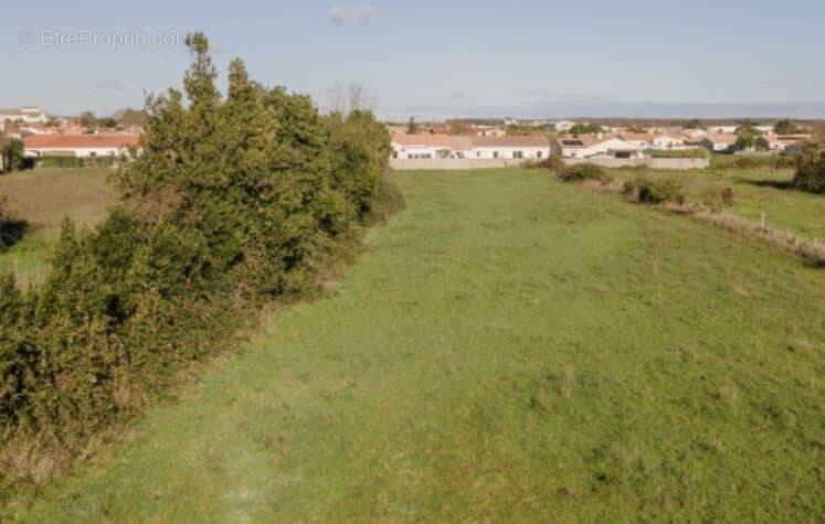 Terrain à SAVONNIERES