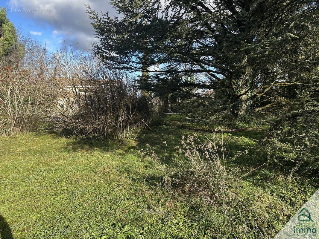 Terrain à SAINT-BONNET-DE-MURE