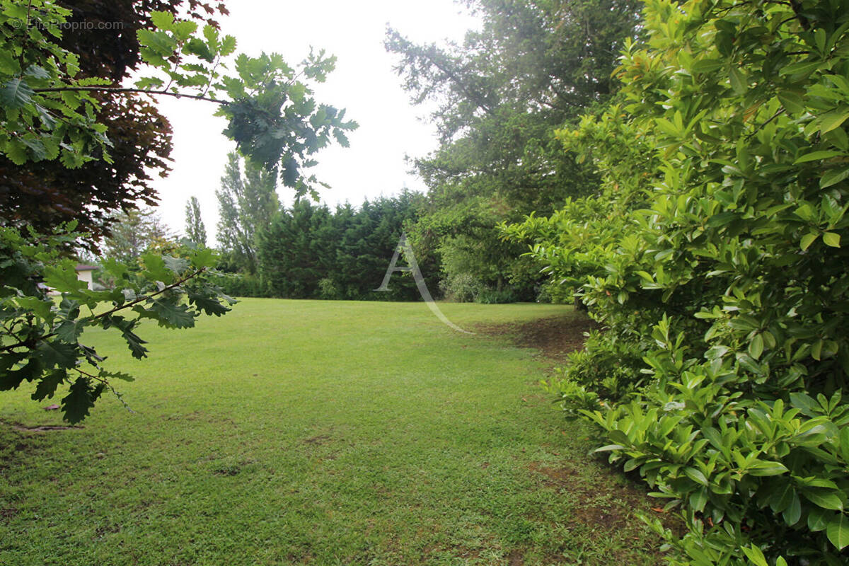 Terrain à MONTAUBAN