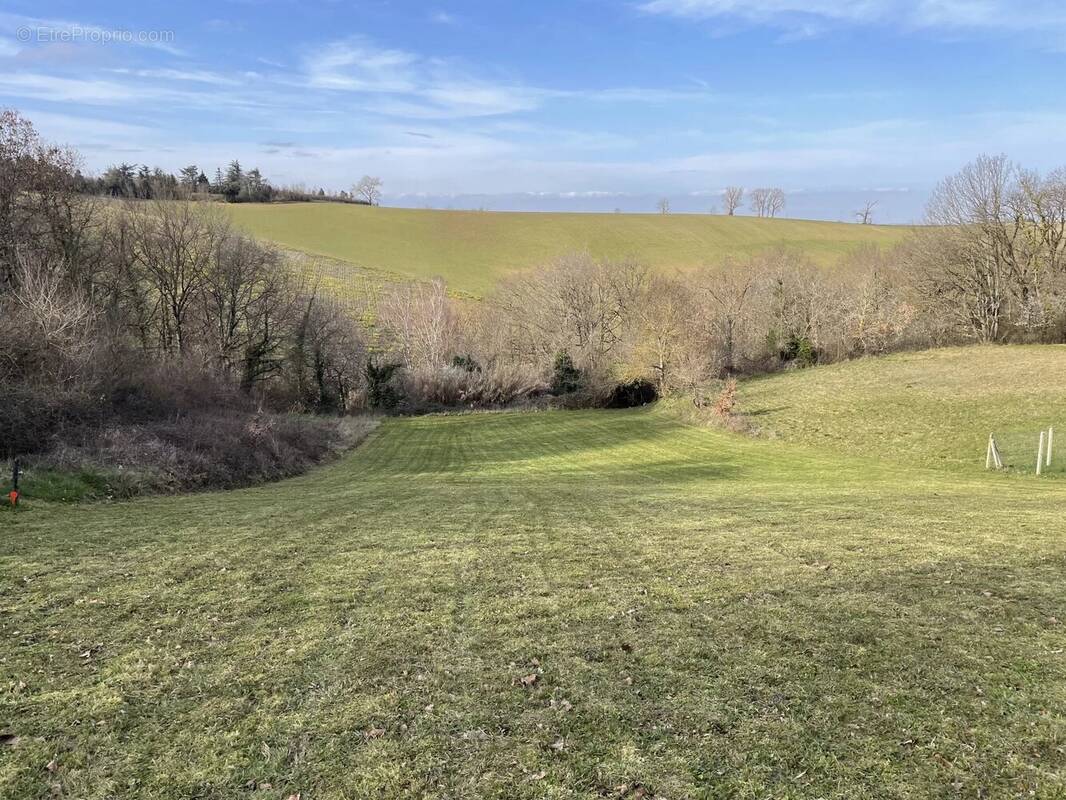 Terrain à NAILLOUX