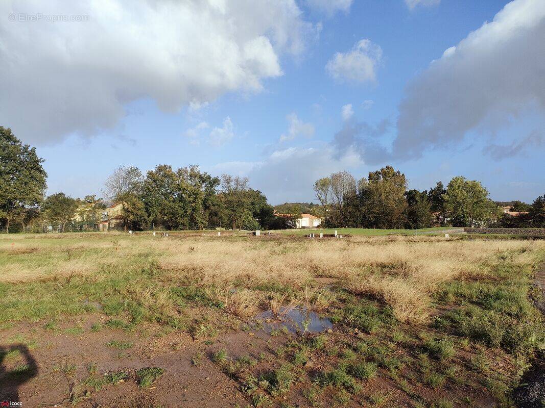 Terrain à MAREUIL-SUR-LAY-DISSAIS