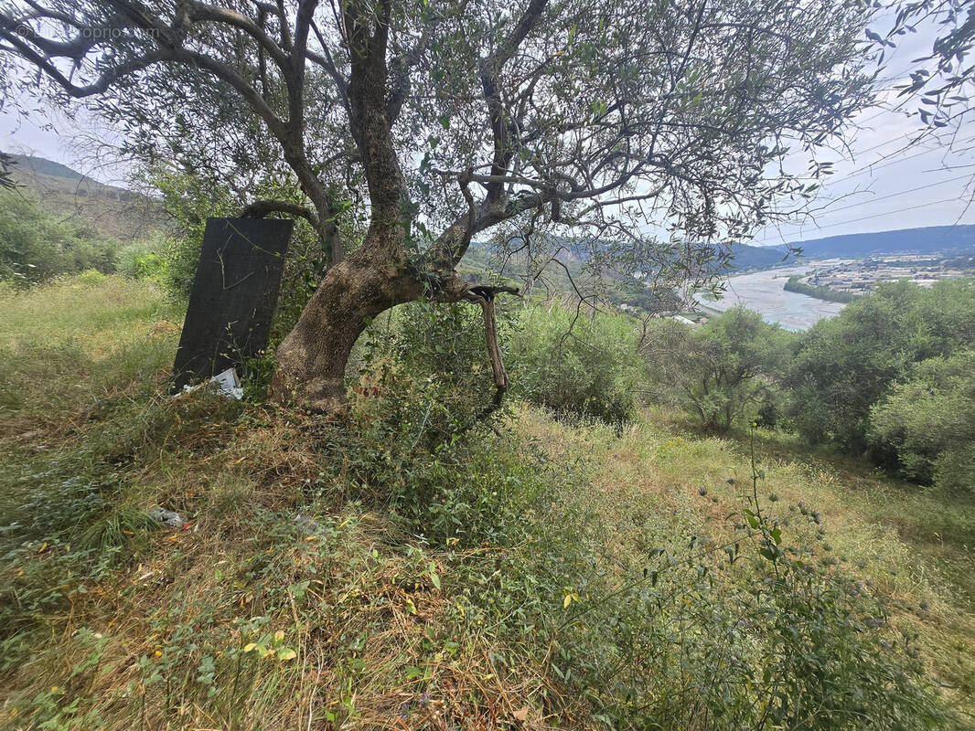 Terrain à CASTAGNIERS