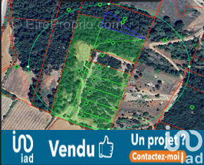Photo 1 - Terrain à LE CANNET-DES-MAURES
