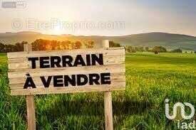 Photo 2 - Terrain à VERINES