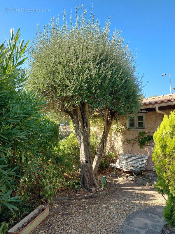 Maison à SAINT-RAPHAEL