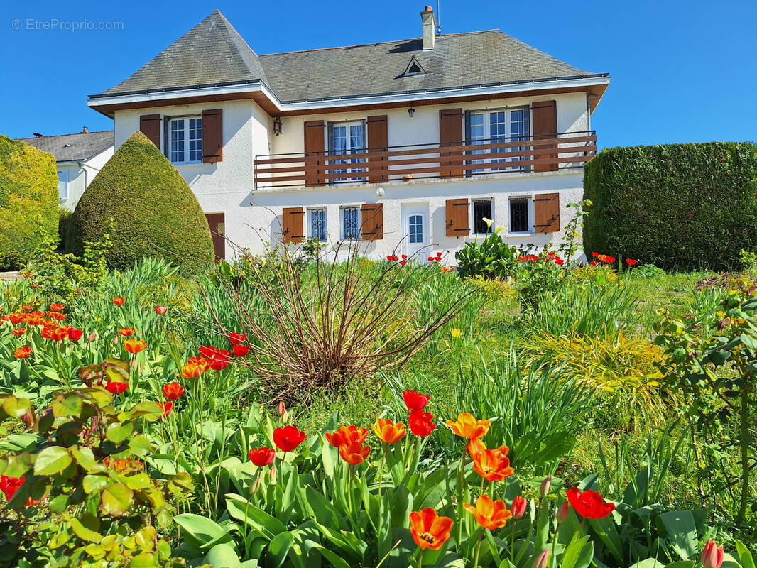 Maison à SAUMUR