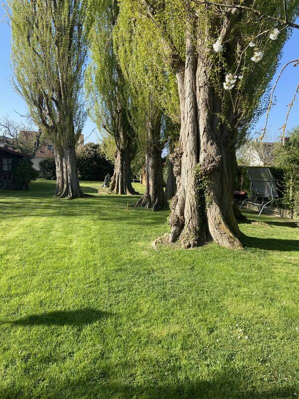 Terrain à AUTEUIL