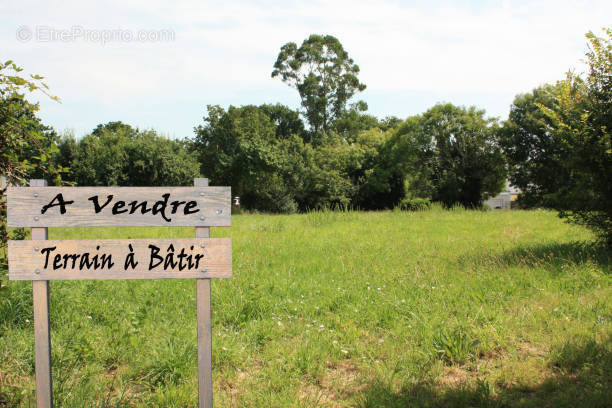 Terrain à VARCES-ALLIERES-ET-RISSET