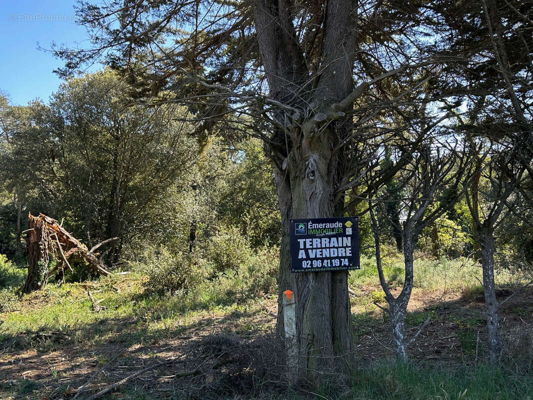 Terrain à LA BOUILLIE