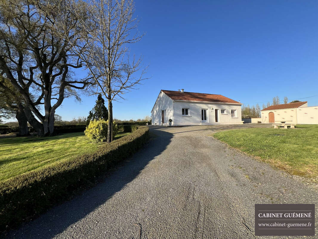 Maison à VIEILLEVIGNE