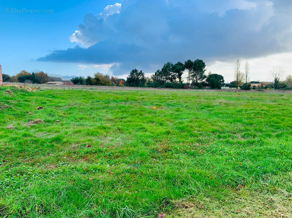 Terrain à MONTGUYON