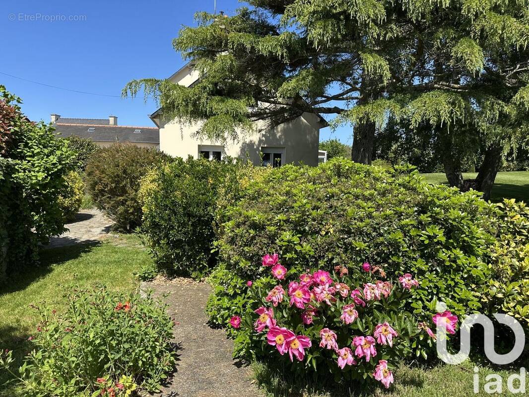 Photo 1 - Maison à HILLION