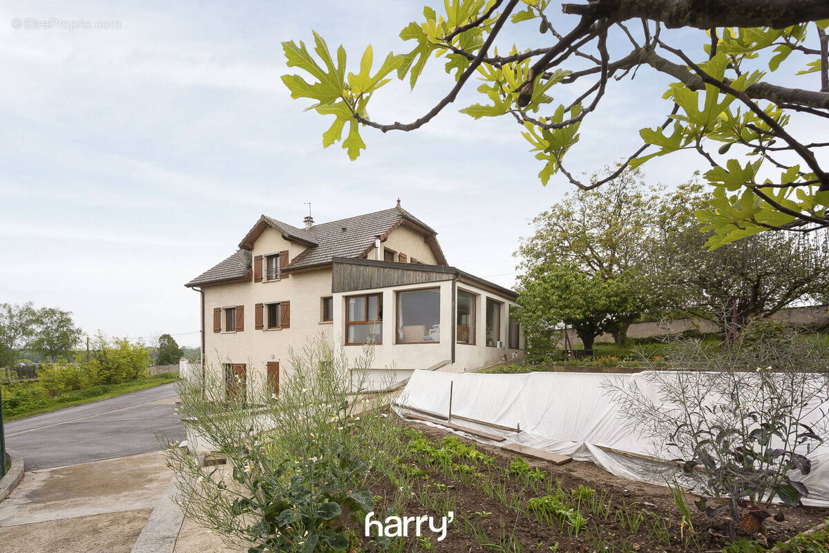 Photo 1 - Maison à GRAY
