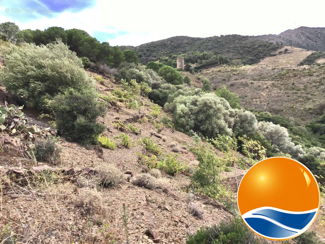 Terrain à BANYULS-SUR-MER