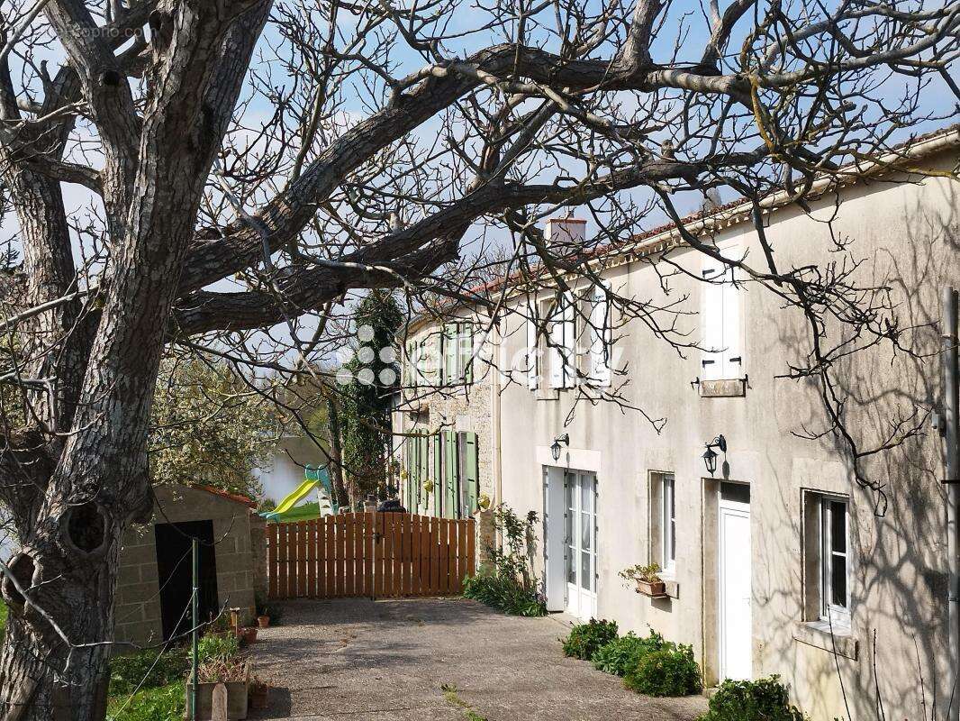 Maison à MAILLE