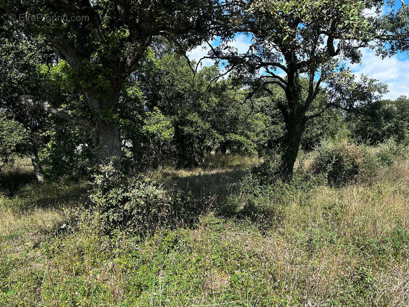 Terrain à GRIGNAN