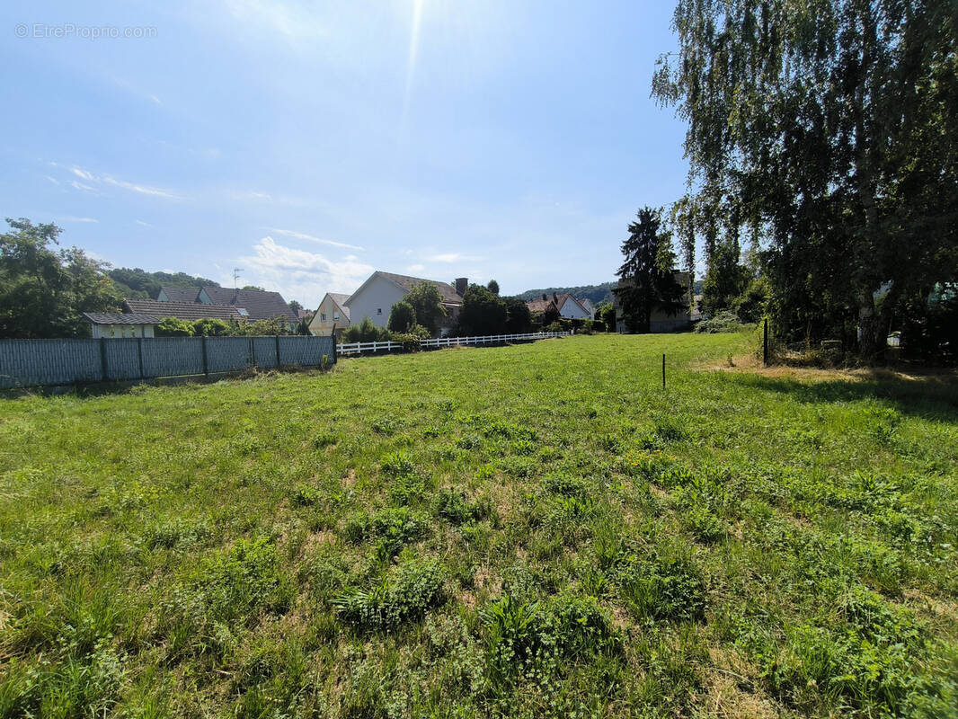 Terrain à TAGOLSHEIM