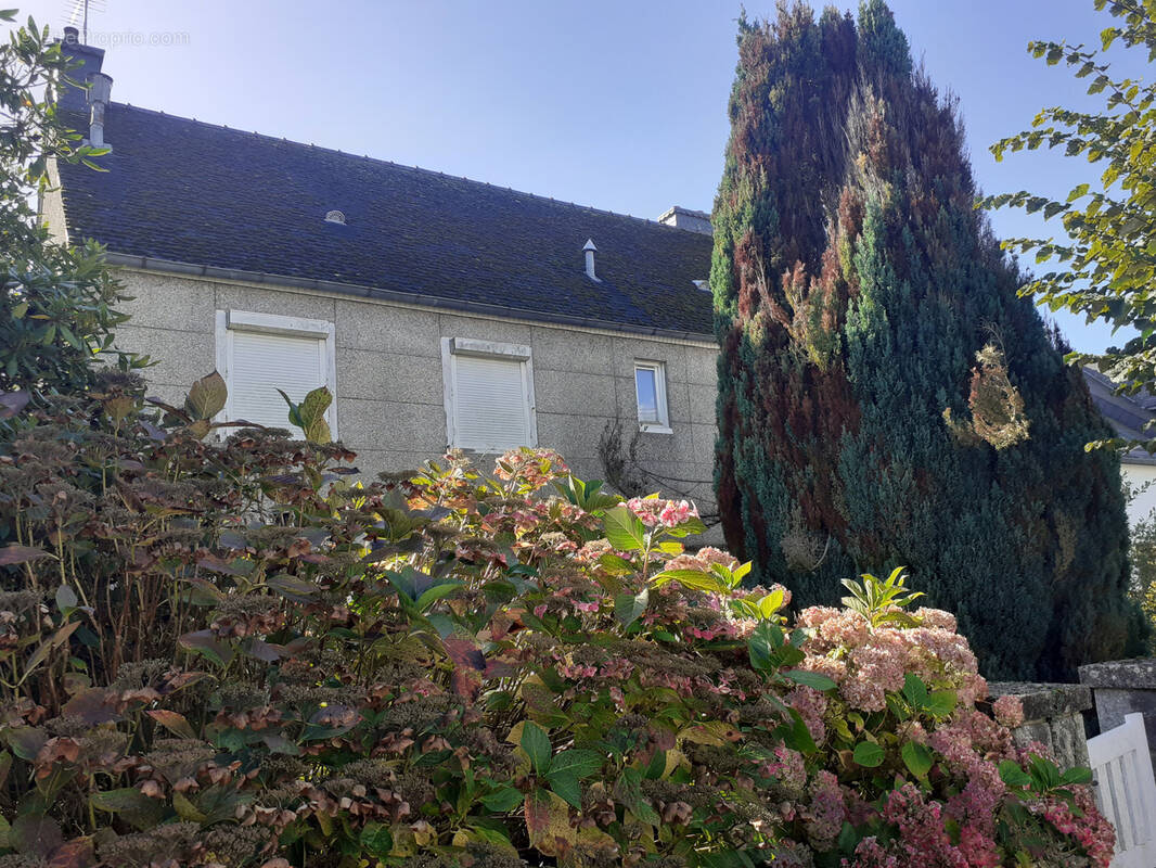 Maison à LOUDEAC