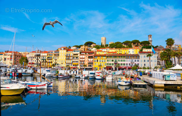 Commerce à CANNES