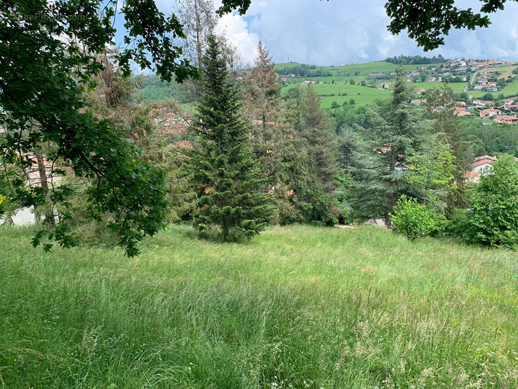 Terrain à SORBIERS
