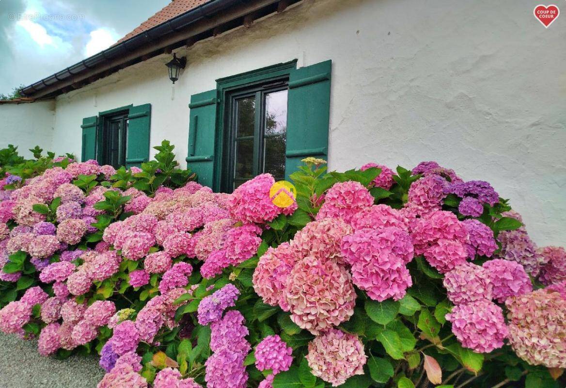 Maison à CAMPAGNE-LES-HESDIN