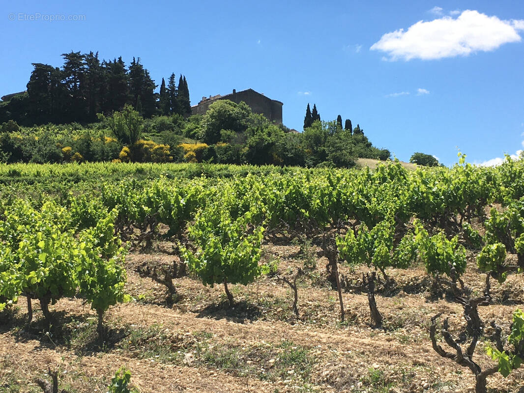 Terrain à VAISON-LA-ROMAINE