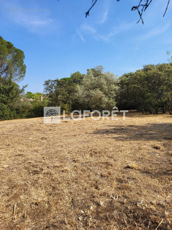 Terrain à VILLENEUVE-LES-AVIGNON