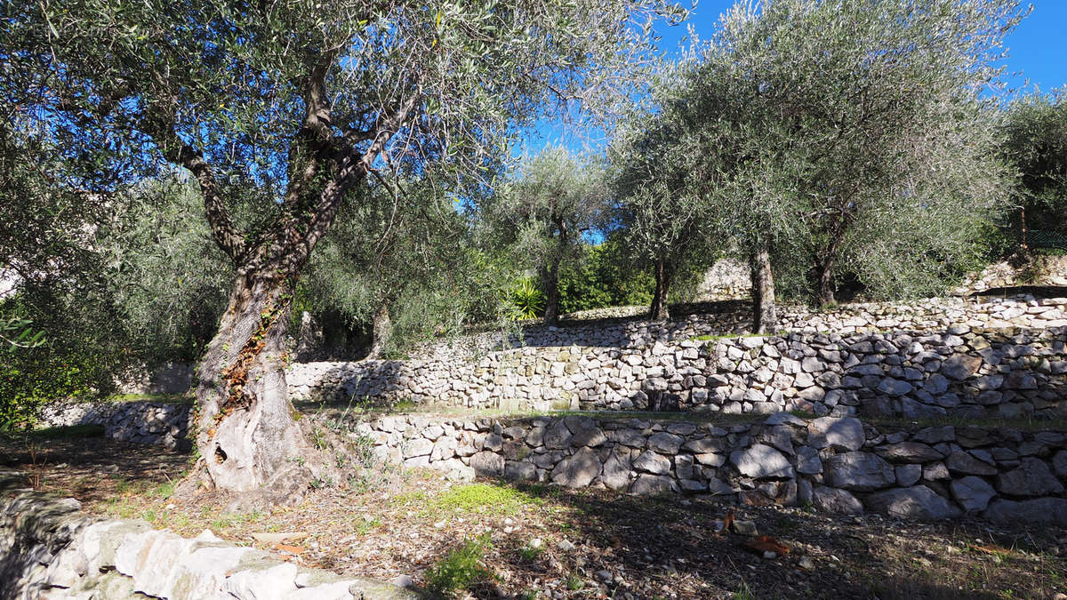 Terrain à EZE