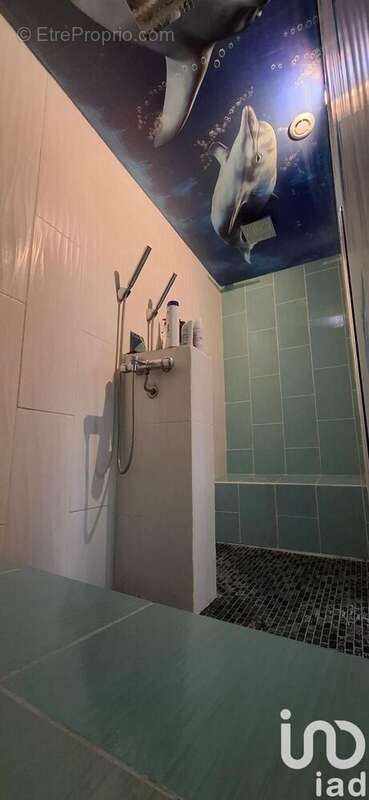 Photo 5 - Maison à CAUDEBEC-LES-ELBEUF