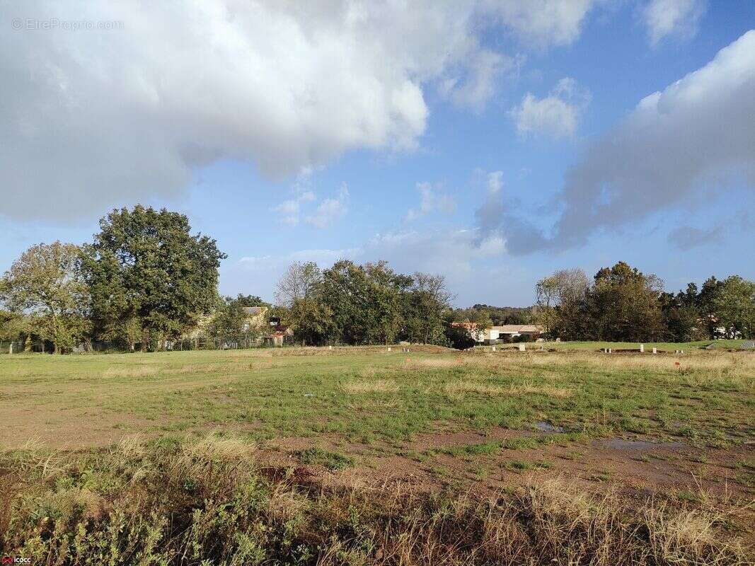 Terrain à MAREUIL-SUR-LAY-DISSAIS