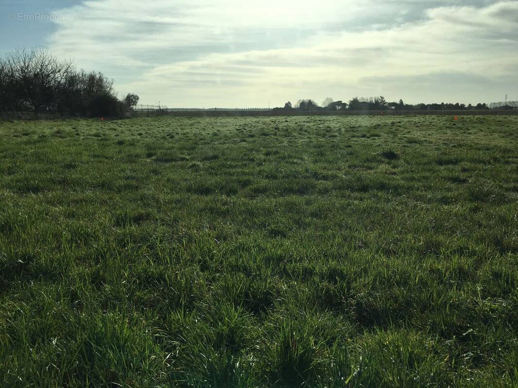 Terrain à SAINT-HILAIRE-DE-LA-NOAILLE