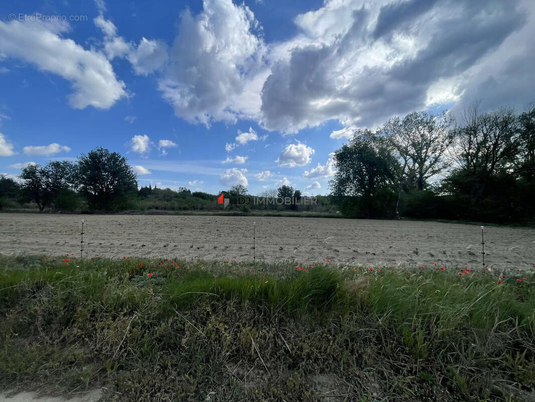 Terrain à SAINT-JEAN-PLA-DE-CORTS