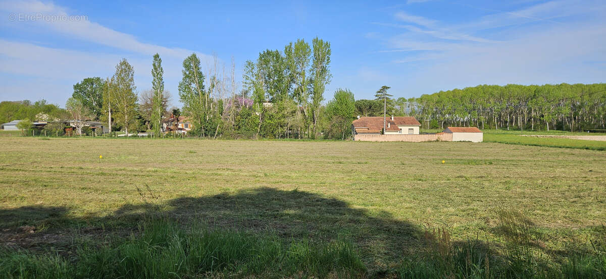 Terrain à ALBI