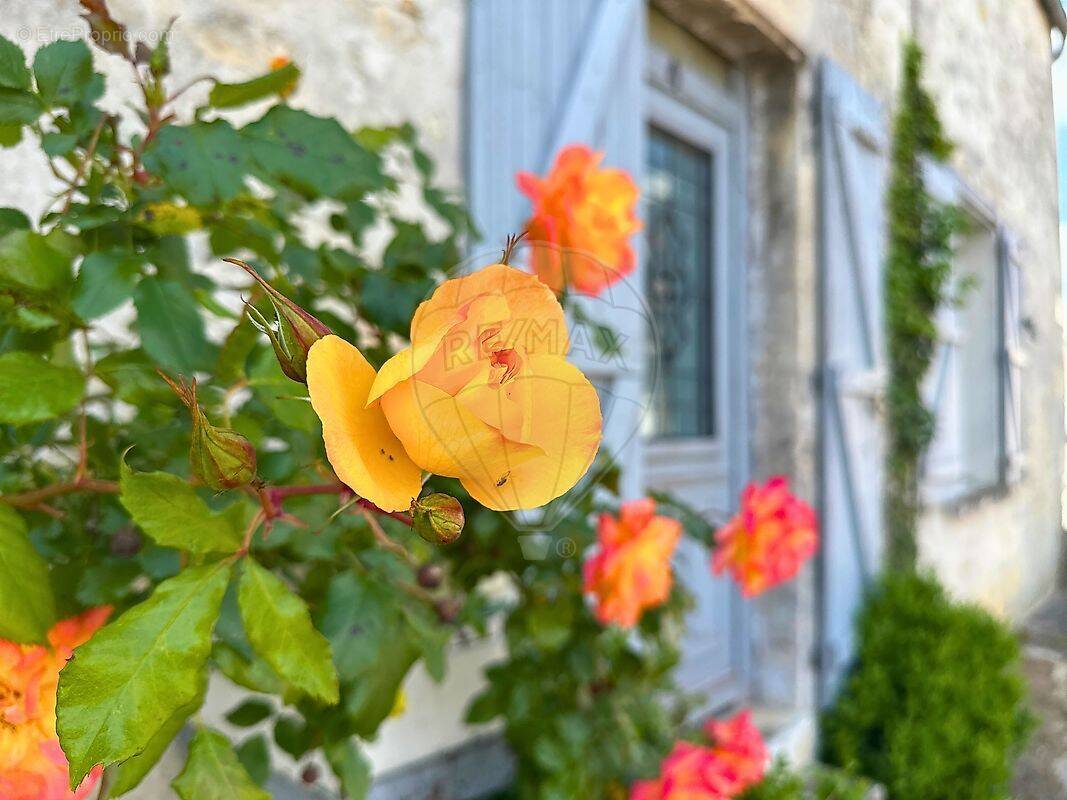 Maison à SENLIS
