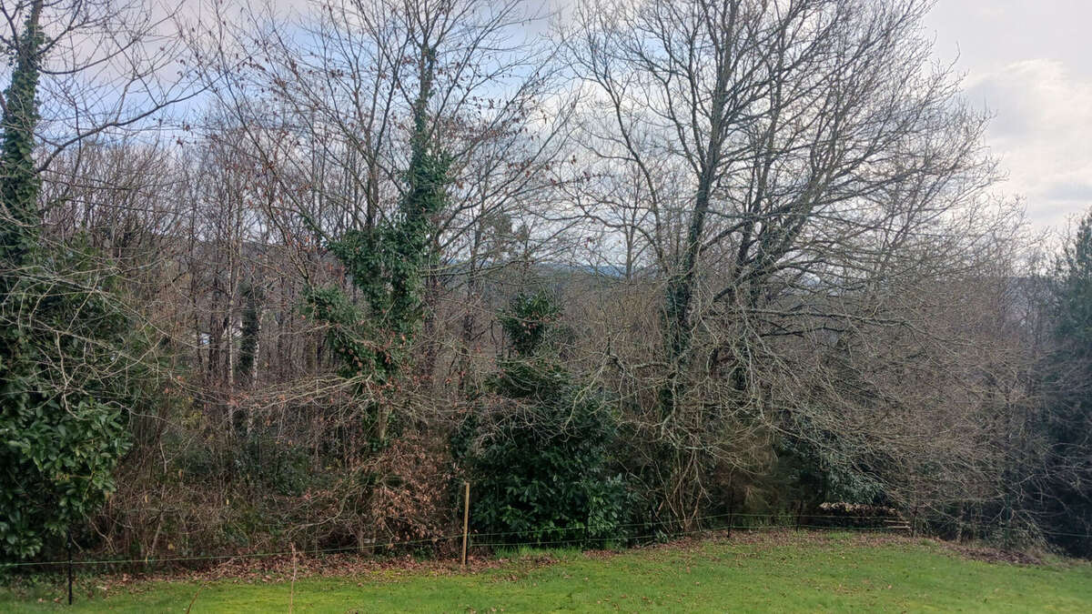 Terrain à LA GACILLY