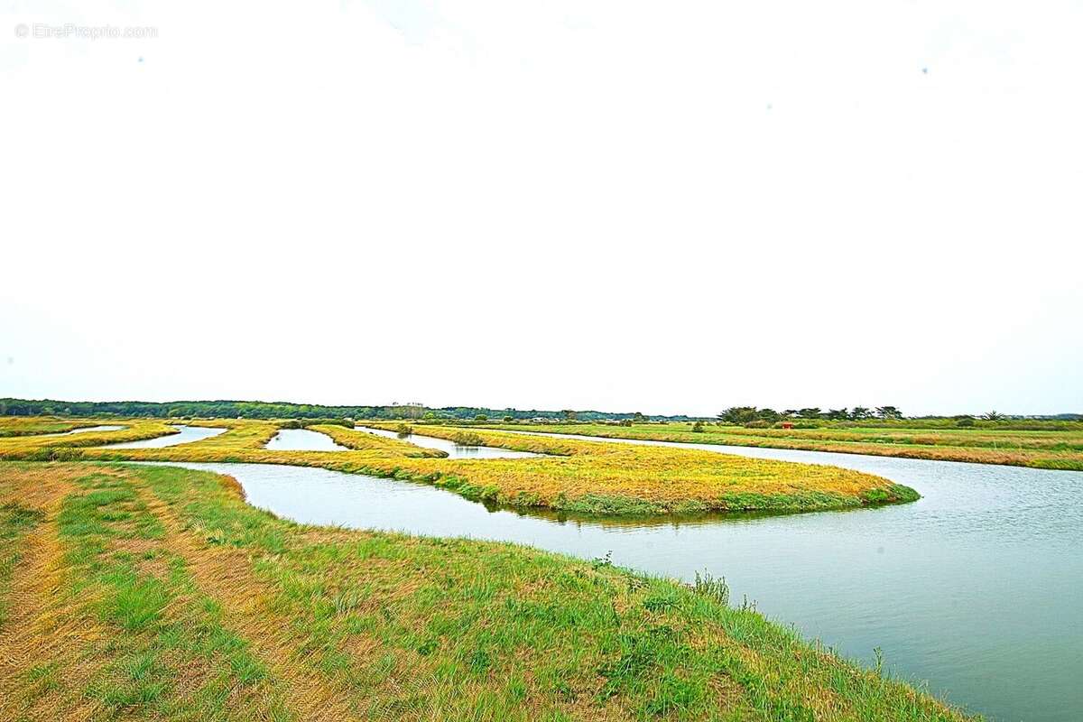 Terrain à L&#039;ILE-D&#039;OLONNE