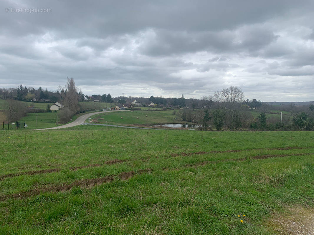 Terrain à COSNAC