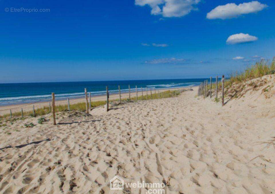 Accès direct à cette magnifique plage de LACANAU-OCEAN, à seulement quelques mètres du studio - Appartement à LACANAU