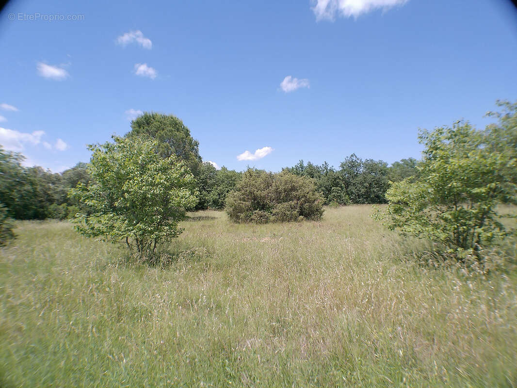 Terrain à SAUVE