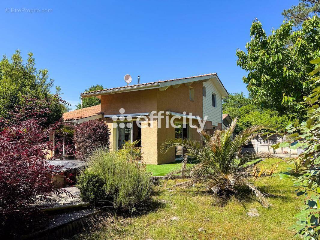 Maison à LACANAU